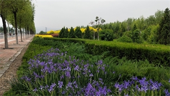 標題：張家口經(jīng)開(kāi)區秋季清水河生態(tài)綠廊建
瀏覽次數：2262
發(fā)表時(shí)間：2020-10-16