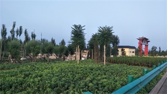 標題：張家口經(jīng)開(kāi)區腰站堡飲用水源地生態(tài)涵養綠化
瀏覽次數：2560
發(fā)表時(shí)間：2020-10-16