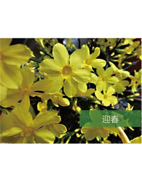 標題：?jiǎn)坦嗄?瀏覽次數：1364
發(fā)表時(shí)間：2020-10-17