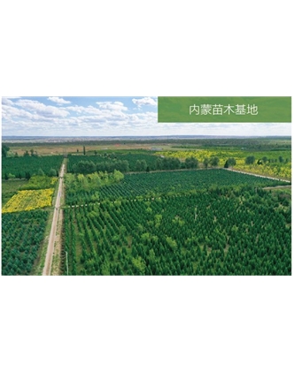 標題：苗木基地
瀏覽次數：1951
發(fā)表時(shí)間：2020-10-17