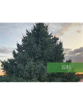 標題：?jiǎn)坦嗄?瀏覽次數：2135
發(fā)表時(shí)間：2020-10-17