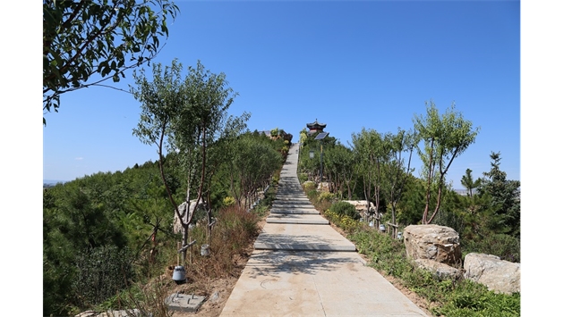 標(biāo)題：張家口太子山山體修復(fù)
瀏覽次數(shù)：18303
發(fā)表時(shí)間：2020-11-12