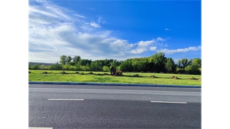 標題：伊利現代智慧健康谷道路綠化建設項目
瀏覽次數：1443
發(fā)表時(shí)間：2023-11-07